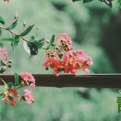 注册就送38的平台